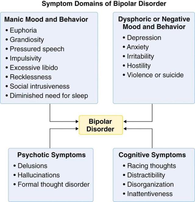 Bipolar Broken Down into Parts (Diagram)